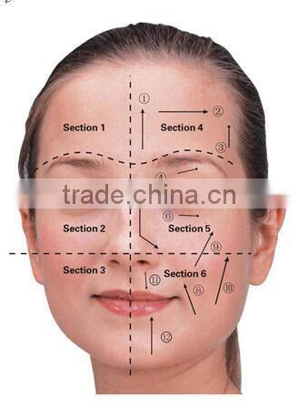 AYJ-T12C New arrical facial electronic pulse massager galvanic facial machine price