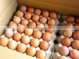 FRESH BROWN CHICKEN EGGS
