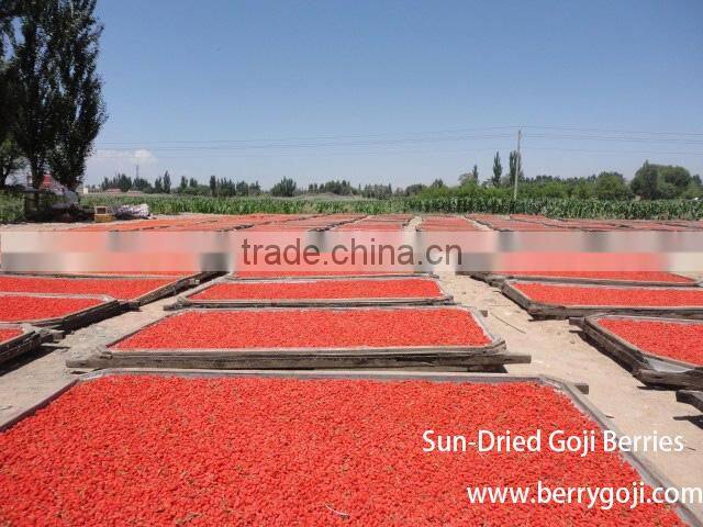 Farm Supply Goji berries Ningxia origin