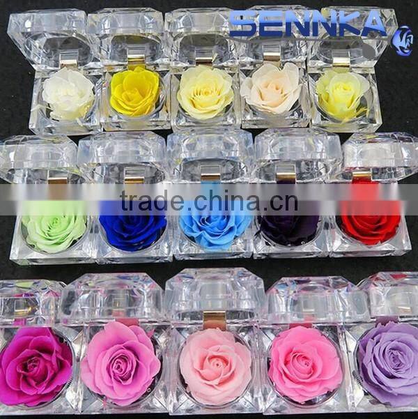 Good market Fresh rose with variety of colors, gift , ring box on sale