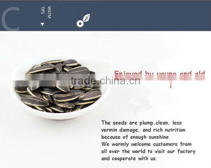 Raw Material Long Sunflower Seeds Big Black American