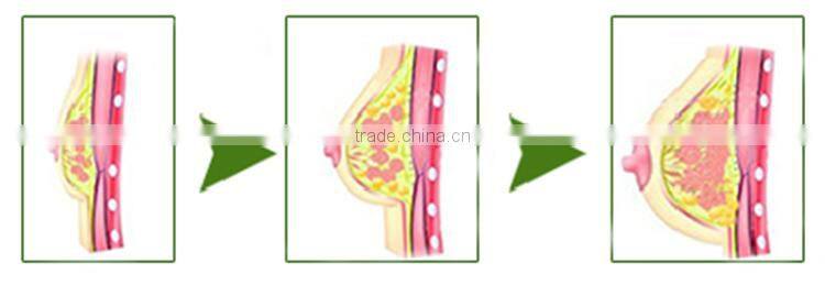 Sale hot Thai pueraria mirifica extract liquid breast enhancement Massage 1000ml