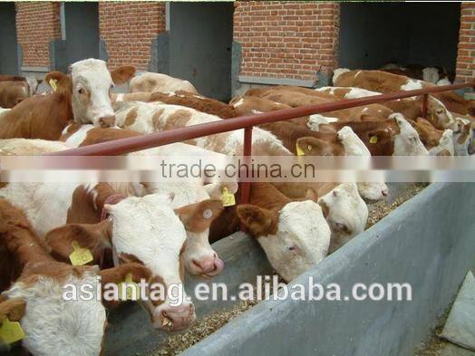 Smart TPU plastic ear tags for cattle RFID Ear tag