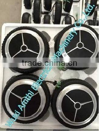 self balancing motor, electric self balancing motor, electric self balancing scooter motor, amthi