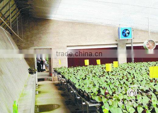 evaporative cellulose paper wet pad wall for greenhouse