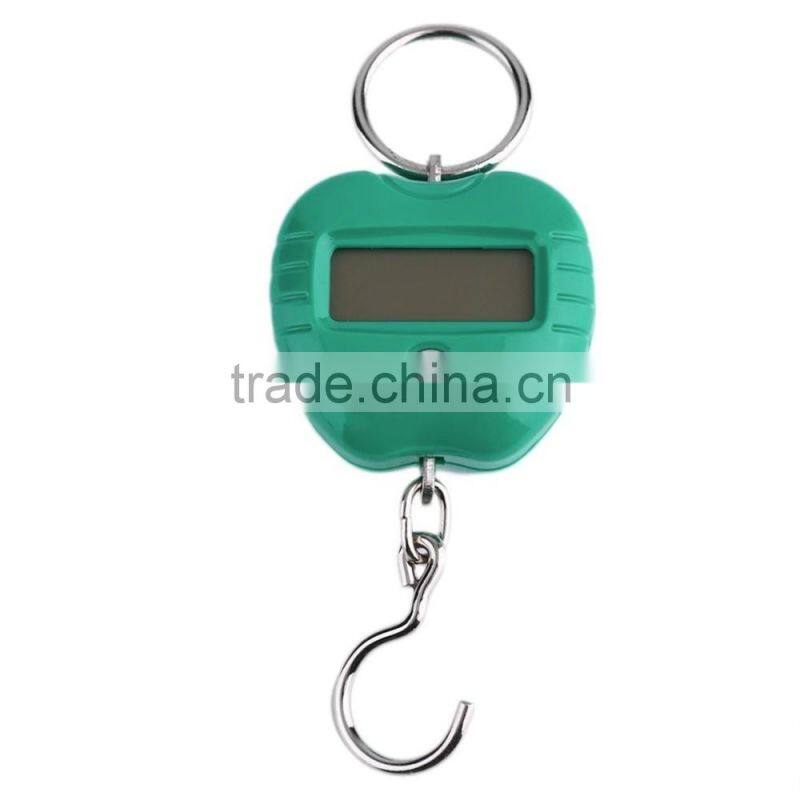 Mini Cute Handheld Food Vegatable Fruit 20kg/10g Home Digital Weight Scale