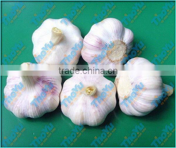 Garlic tail and stem cutting machine