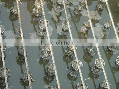 10-25mm Bio Packing Filter Media & Biological Bio Filter Media Type