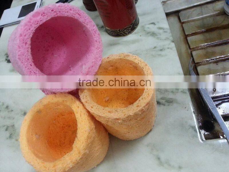 Biodegradable Sponge Cultivating pot