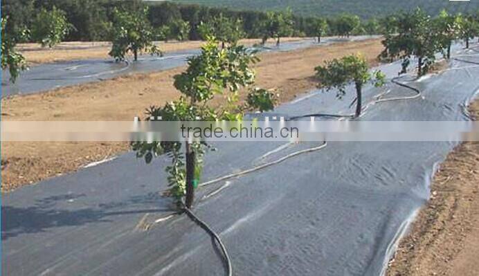 Plant Protector Sheet