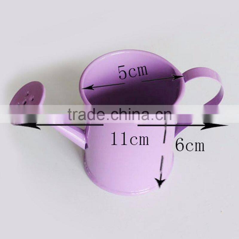 cheap small indoor 2 or 2.5 inches white metal flower watering can mini planter for succulents