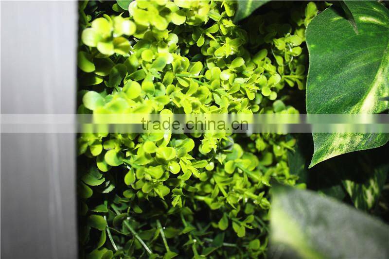 stickers home garden deco 200*200 cm indoor or outdoor artificial corner succulent green climbing plant wall Ezwq10 109