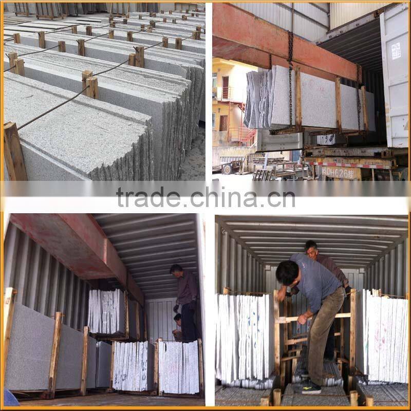 Popular Butterfly Galactic Blue Granite Kitchen Courtertop