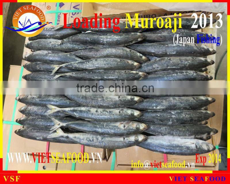 LOADING MUROAJI FOR TUNA BAIT