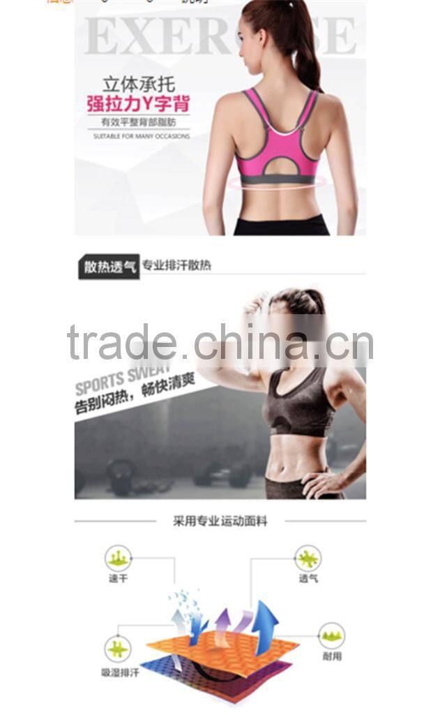2016 Shuoyang Factory Wholesale Hot Sexy Custom Women Sports Bra