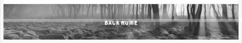 Latest Arrival Custom Plunge Swimwear Sexy Lady Summer Strappy Beach Bikini