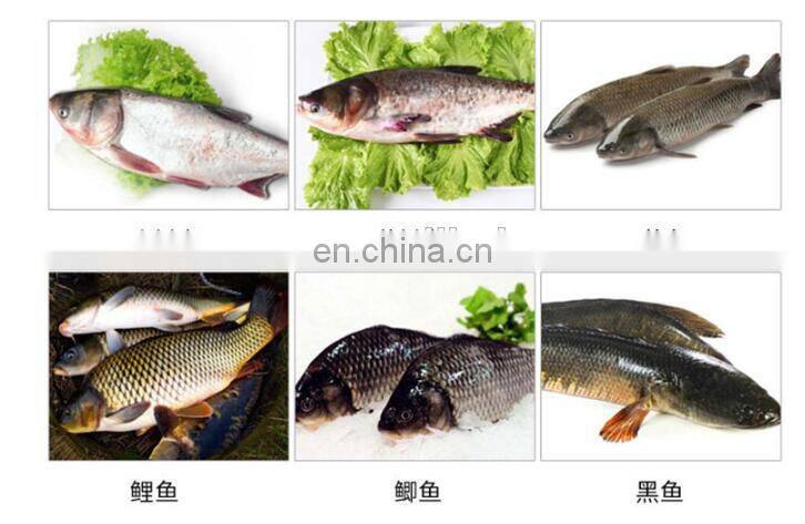 Hot selling Fish Scale Removing Machine/Fish Descaler for price