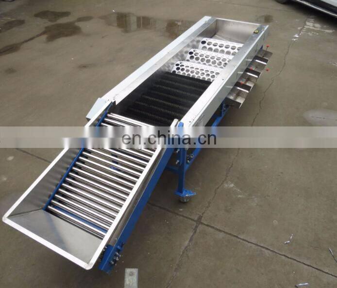 Production Line for cleaning and Air-drying Sorting of fruits and vegetables