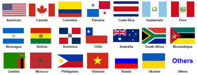 4089910 Water Pump for Cums ISX Engine