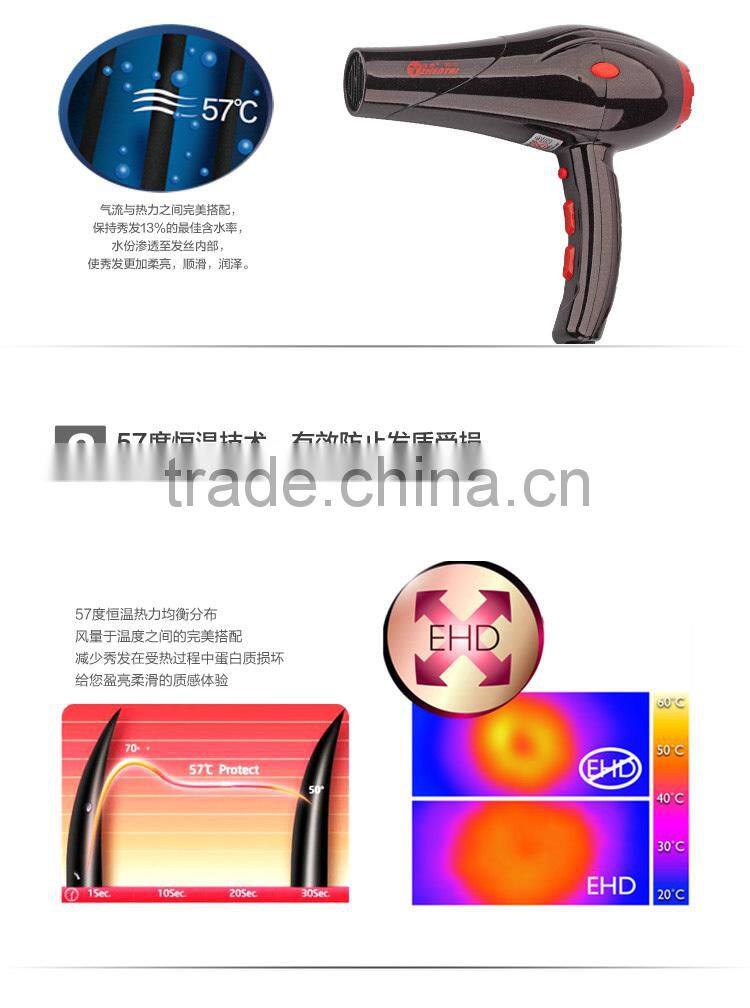 Professional Salon Ionic Hair Dryer,Professional Hair Dryer Manufacturers Selling Tool In Hairdressing
