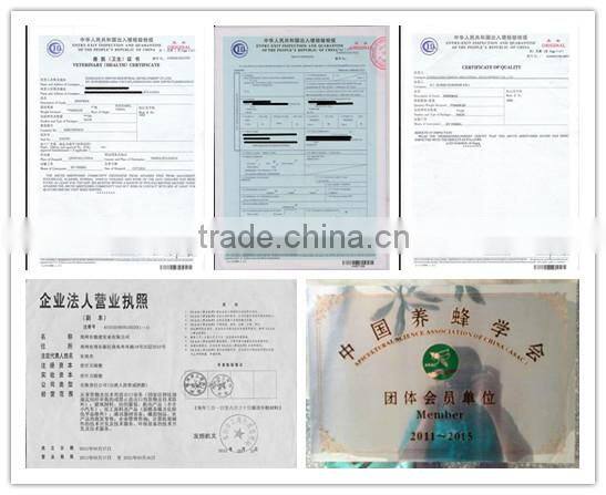 pure and high refined beeswax