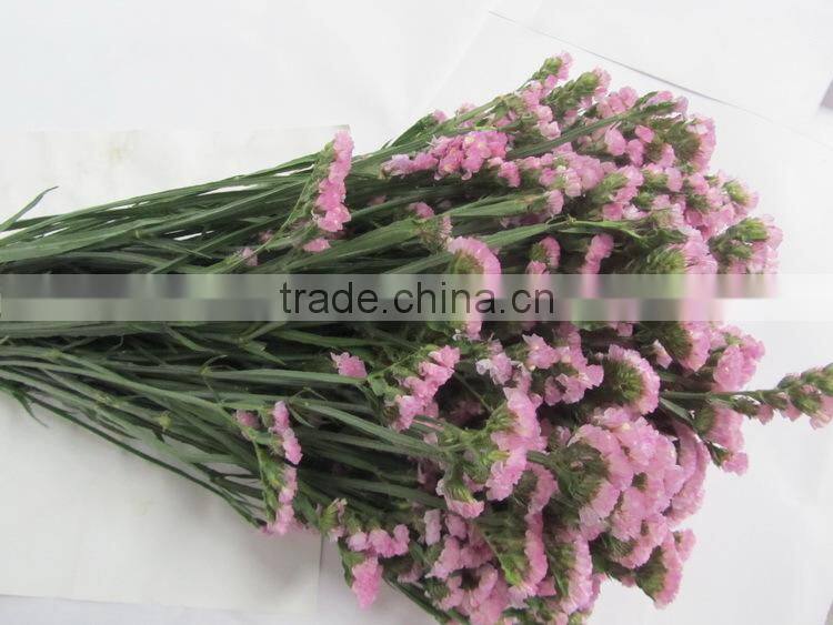 Colorful hot sale decorative supplies myosotis