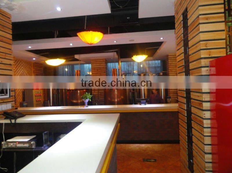 300L hotel beer equipment, pub, bar, restaurant,conical fermenter, craft beer, draft beer