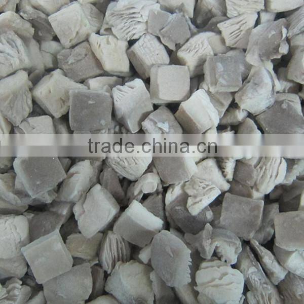 High Quality Oyster Mushroom