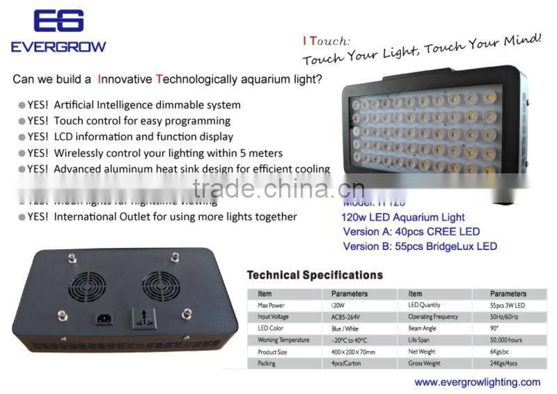 EverGrow Cree IT2040 120w high output led aquarium light