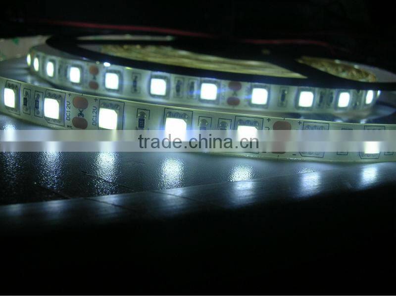 5M 5050 LED Hight brightness cold white 60 chip dc12v led strip 5050 rgb ip68 5050 LED