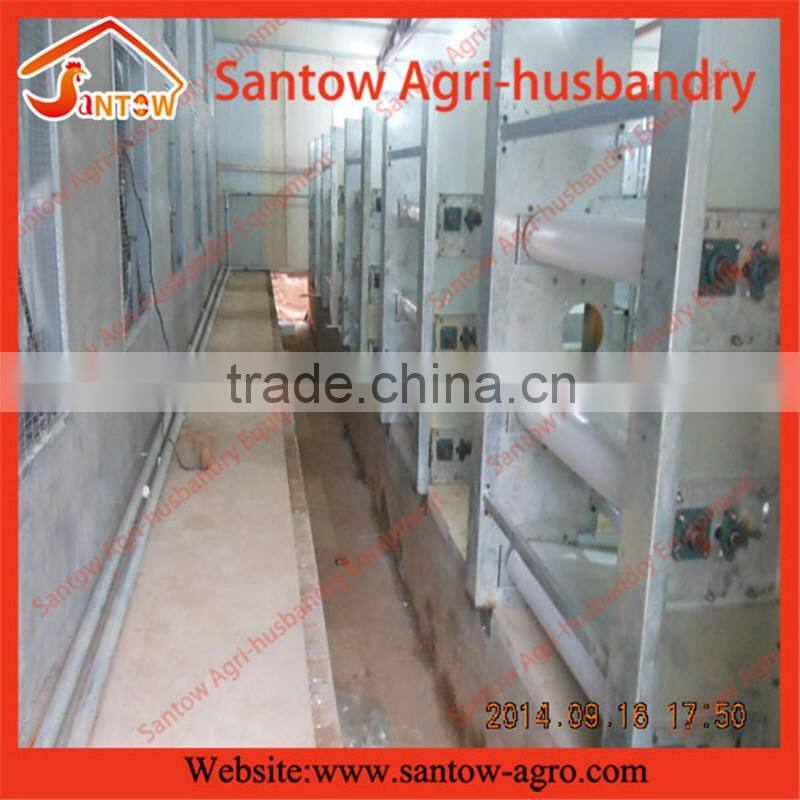 factory design full-auto hot-dipped Farm Equipment for Broiler chicken