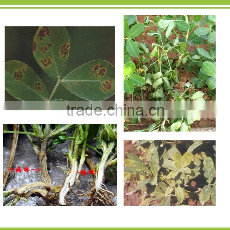 microbial fungicide for seed treatment to prevent fungi, soil brone disease