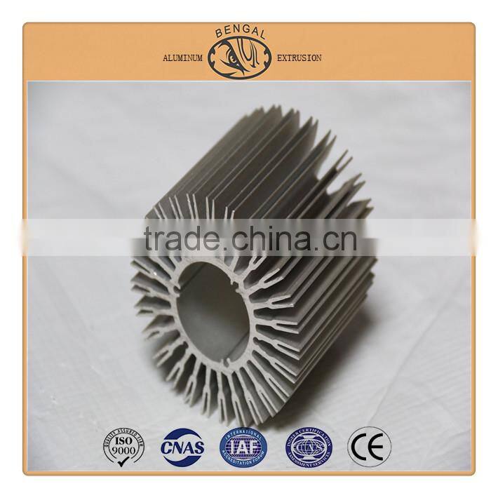 Aluminum Alloy 6000 Series Extrusion Aluminum Heat Sink for LED Light