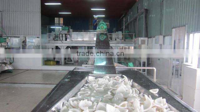 VIETNAM COCONUT POWDER HIGH FAT