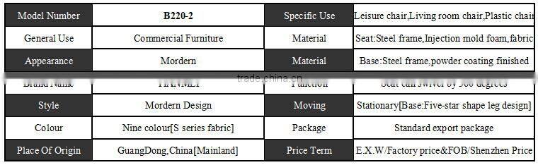 B220-2 Modern wholesale high quality living room furniture lounge chair