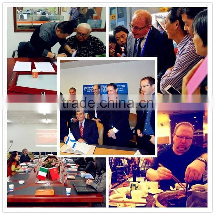 OEM Forged Carbon Steel WN Flange