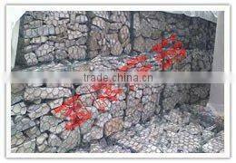 Anping Nuojia Hexagonal wire mesh(factory price)