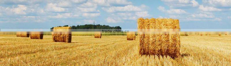 agricultural pp twine for baling