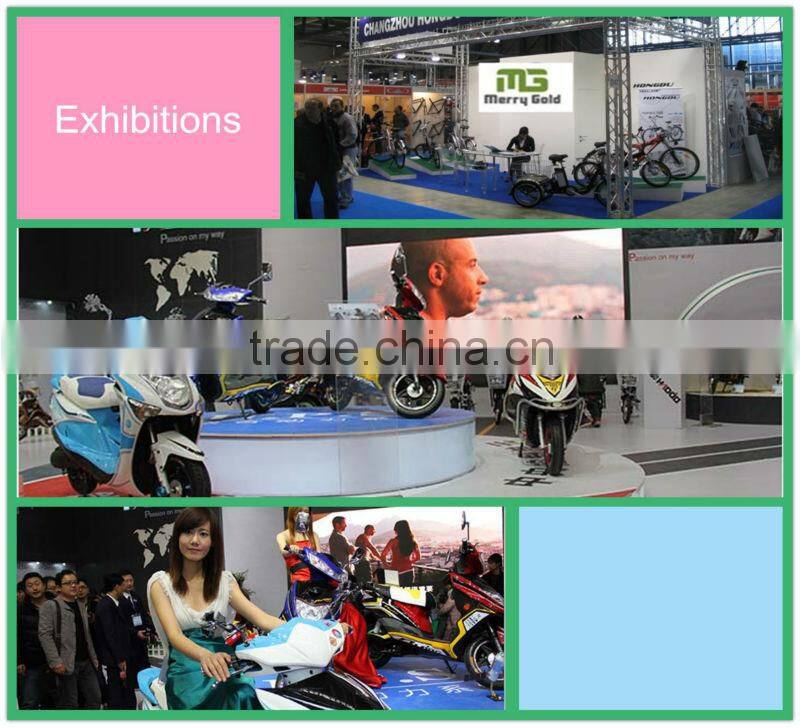 24V foldable pedal assist japanese electric bike