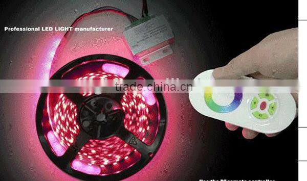 LED Flexible Strip Light Dream Color from China Manufacturer