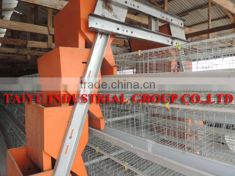 TAIYU Automatic Poultry Battery Cage for Nigerian Farm