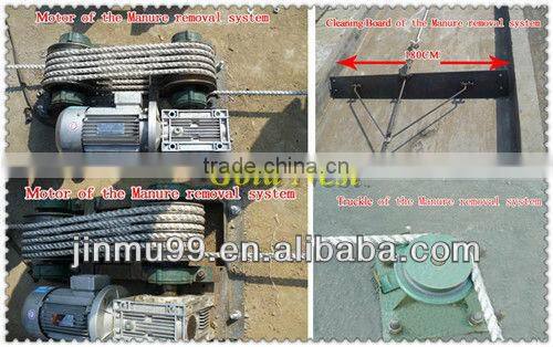 automatic chicken manure removal system