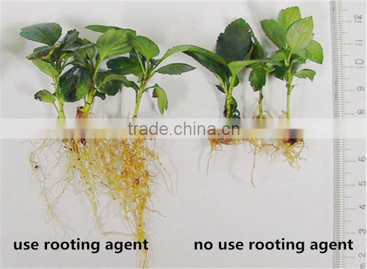 Fashion agricultural liquid rooting fertilizer for vegetable