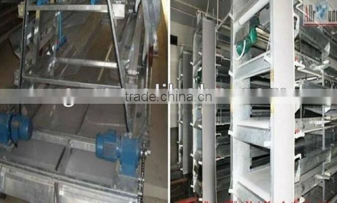 Steel frame and sandwich board chicken poultry shed design