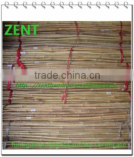 ZENT -31 bamboo pole for supporting