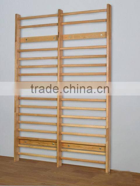 Gymnastics wall bars