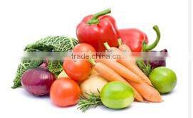 Stainless steel Potato/Carrot Washing Machine