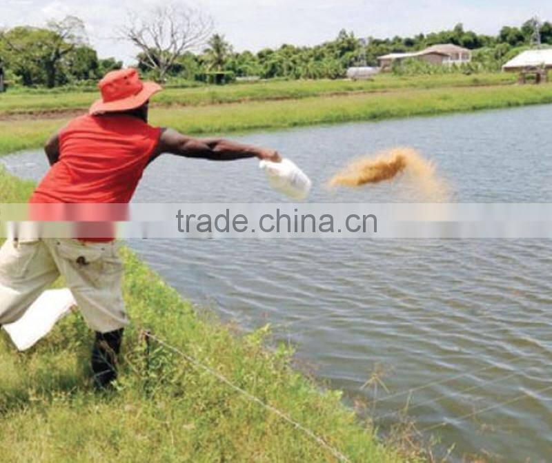 hot sale Fish food extruder