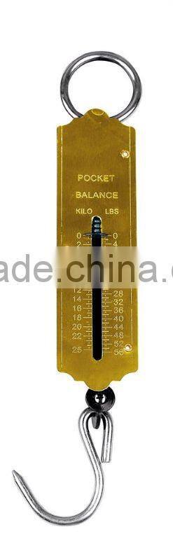 Hanging clasp fishing scale