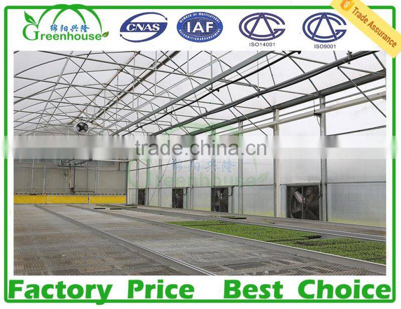 high quality polycarbonate tunnel greenhouse for sale